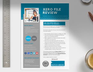 Xero File Review Service